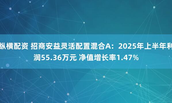纵横配资 招商安益灵活配置混合A：2025年上半年利润55.36万元 净值增长率1.47%